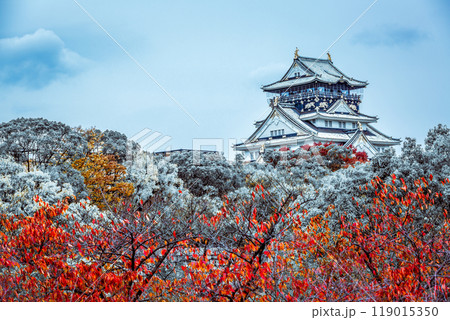 Osaka Castle beautiful attraction ancient architecture landmark, Osaka Castle in winter, Landscape view osaka castle museum, Osaka City, Kansai, Japan. Osaka Castle beautiful attraction ancient architecture landmark, Osaka Castle in winter, Landscape view osaka castle museum, Osaka City, Kansai, Japan. 119015350