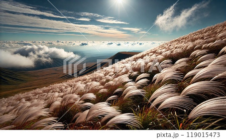 高原になびくすすき 119015473