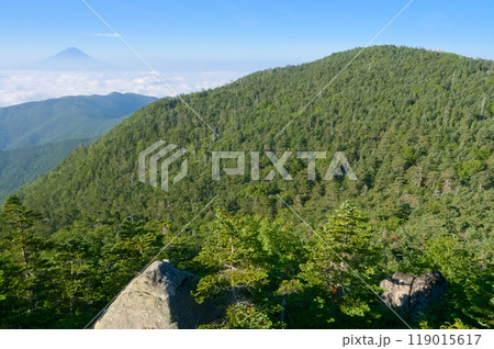 国師ヶ岳から望む富士山と北奥千丈岳 119015617