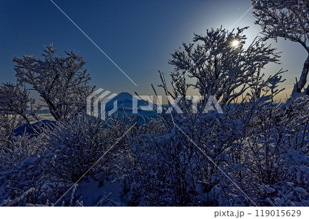 月夜の丹沢・塔ノ岳山頂の樹氷と富士山 119015629