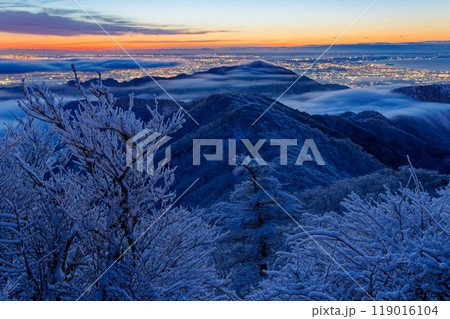 夜明けの丹沢・塔ノ岳から見る滝雲流れる表尾根・大山と湘南の街明かり 夜明けの丹沢・塔ノ岳から見る滝雲流れる表尾根・大山と湘南の街明かり 119016104