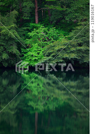 湖畔の風景　福島県北塩原村 119016167