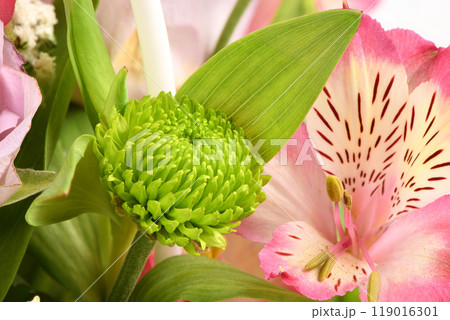 Bouquet of flowers, chrysanthemum, rose, lily, carnation. Bouquet of flowers, chrysanthemum, rose, lily, carnation. 119016301