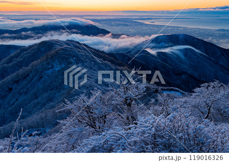 夜明けの丹沢・塔ノ岳の樹氷と滝雲流れる表尾根・湘南の町並み 119016326