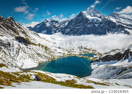 Bachalpsee lake and beautiful snowy mountains in background, Grindelwald, Switzerland Bachalpsee lake and beautiful snowy mountains in background, Grindelwald, Switzerland 119016465