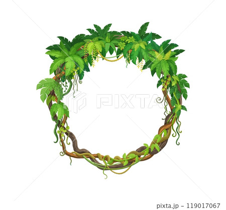 Tropical jungle round frame with forest liana branch and leaves. Cartoon vector circular border made of lush rainforest vines and twisted roots, exudes a sense of exotic nature and wild vegetation Tropical jungle round frame with forest liana branch and leaves. Cartoon vector circular border made of lush rainforest vines and twisted roots, exudes a sense of exotic nature and wild vegetation 119017067