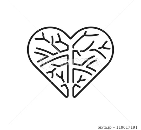 Heart blood vessels, cardiology medicine line icon. Cardiology healthcare line symbol, cardiovascular system medical disease or problem outline vector icon or pictogram with human heart blood veins 119017191