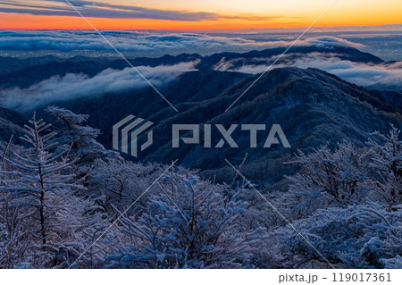 樹氷の丹沢・塔ノ岳山頂から夜明けの表尾根・大山を望む 樹氷の丹沢・塔ノ岳山頂から夜明けの表尾根・大山を望む 119017361