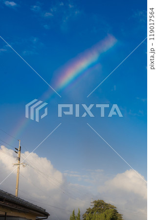 青空に掛かる虹 119017564