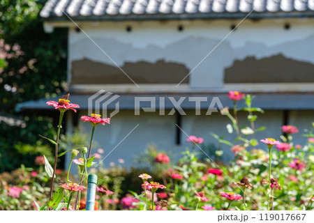 土蔵と花びら 119017667