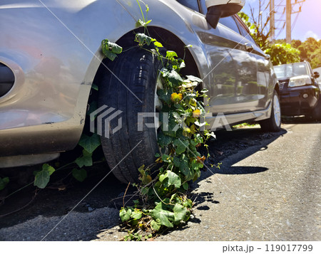 A silver car that has a broken tire and is covered with leaves A silver car that has a broken tire and is covered with leaves 119017799