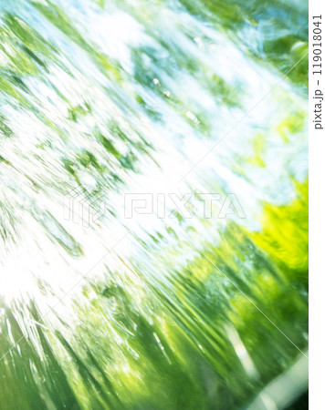 新緑の中を流れる清流 (木谷沢渓流) 新緑の中を流れる清流 (木谷沢渓流) 119018041