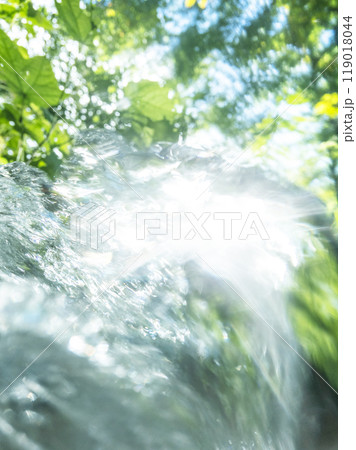 新緑の中を流れる清流 (木谷沢渓流) 新緑の中を流れる清流 (木谷沢渓流) 119018044