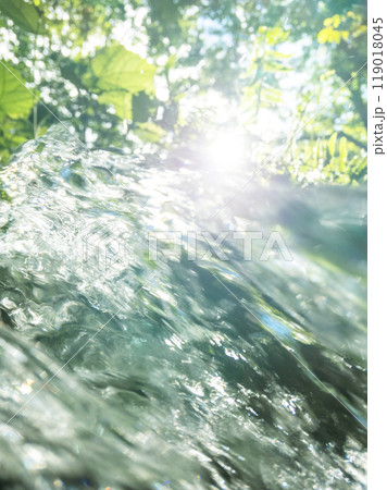 新緑の中を流れる清流 (木谷沢渓流) 新緑の中を流れる清流 (木谷沢渓流) 119018045