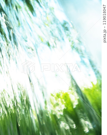 新緑の中を流れる清流 (木谷沢渓流) 新緑の中を流れる清流 (木谷沢渓流) 119018047