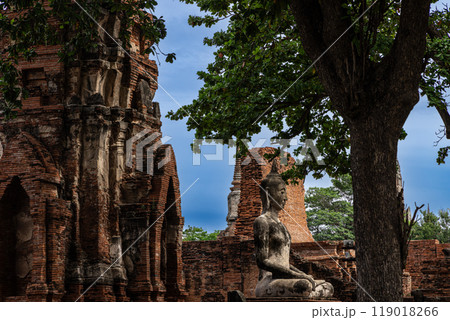 アユタヤ歴史公園散策 119018266