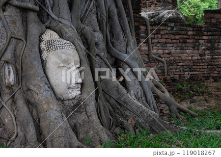アユタヤ歴史公園、ワット・マハタート 119018267