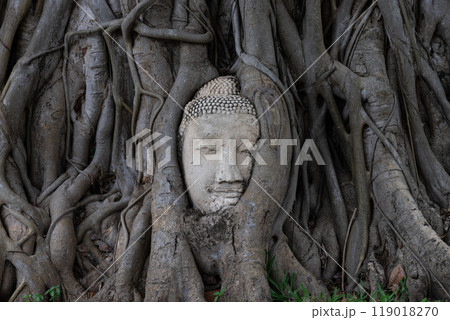 アユタヤ歴史公園、ワット・マハタート アユタヤ歴史公園、ワット・マハタート 119018270
