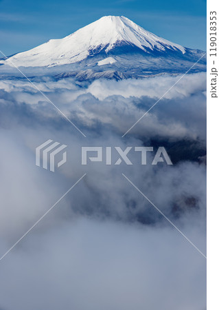 丹沢・鍋割山から見る雲上の富士山 119018353