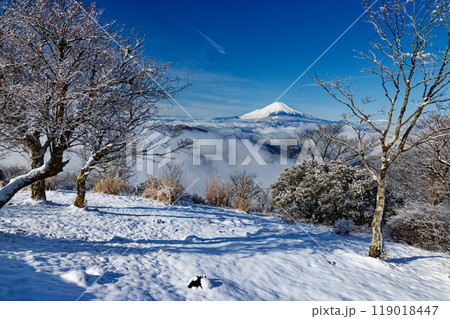 雪景色の丹沢・鍋割山から見る富士山 119018447