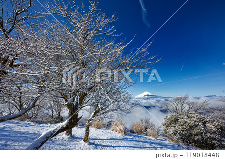 雪景色の丹沢・鍋割山から見る富士山 119018448