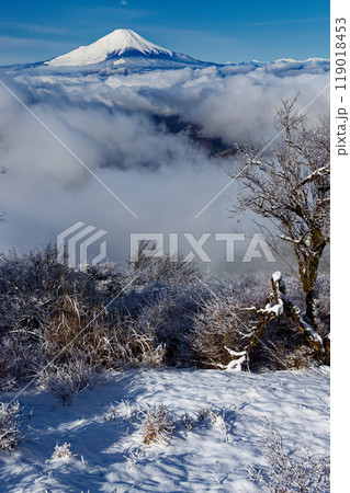 雪景色の丹沢・鍋割山から見る富士山 119018453