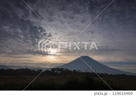 薄雲たなびく富士山と日の出 119018460
