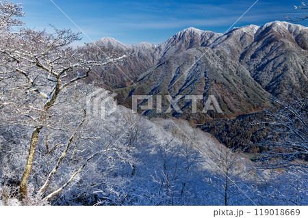 丹沢・鍋割山稜から見る樹氷の主稜線 119018669
