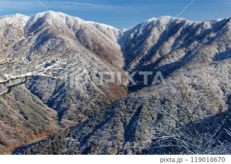 丹沢・鍋割山稜から見る樹氷の主稜線 119018670