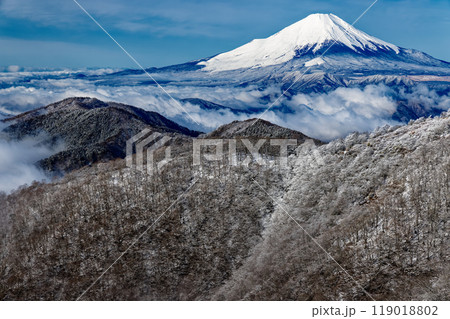 樹氷の丹沢・鍋割山と富士山の眺め 119018802