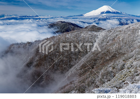 樹氷の丹沢・鍋割山と富士山の眺め 樹氷の丹沢・鍋割山と富士山の眺め 119018803