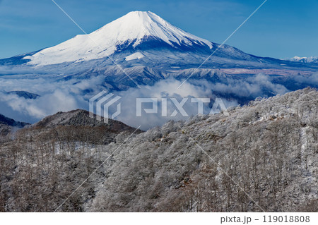 樹氷の丹沢・鍋割山と富士山の眺め 119018808
