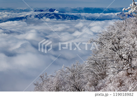 丹沢・鍋割山稜の樹氷と雲上の箱根 119018982