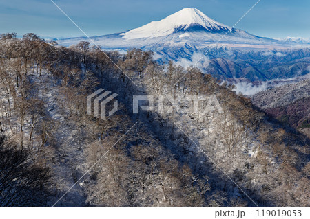 冬の丹沢・塔ノ岳直下から見る富士山と鍋割山稜 119019053