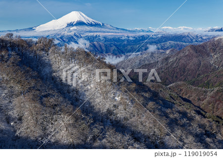 冬の丹沢・塔ノ岳直下から見る富士山と鍋割山稜 119019054