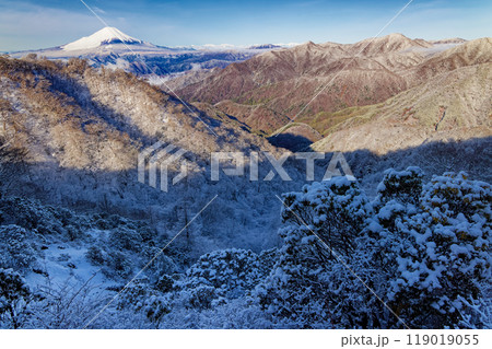 冬の丹沢・塔ノ岳直下から見る富士山と鍋割山稜 119019055