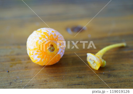 枝を外した銀杏の実 119019126