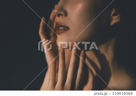 若い女性のビューティーポートレート 若い女性のビューティーポートレート 119019369