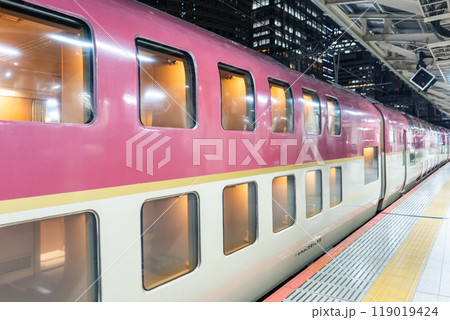 東京駅ホームに停車中の寝台特急サンライズエクスプレス 東京駅ホームに停車中の寝台特急サンライズエクスプレス 119019424