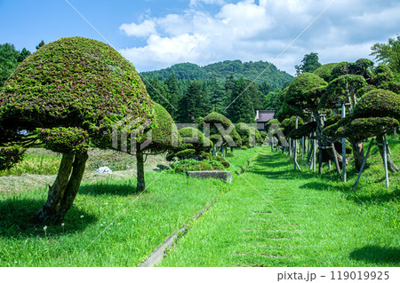 洞瀧山 総光寺 119019925