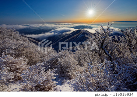 樹氷の丹沢・塔ノ岳山頂から見る朝日と表尾根 樹氷の丹沢・塔ノ岳山頂から見る朝日と表尾根 119019934