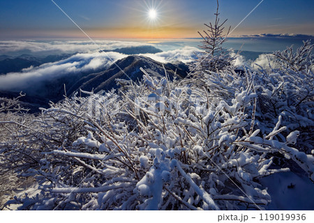 樹氷の丹沢・塔ノ岳山頂から見る朝日と表尾根 119019936