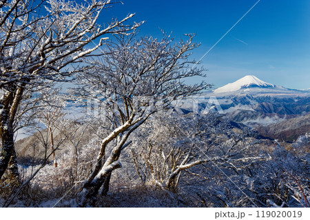 丹沢・塔の岳の樹氷と富士山 119020019