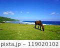 与那国島 119020102