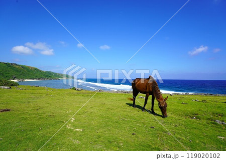 与那国島 119020102