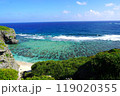 与那国島 119020355