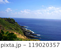 与那国島 119020357