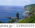 与那国島 119020359