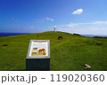 与那国島 119020360