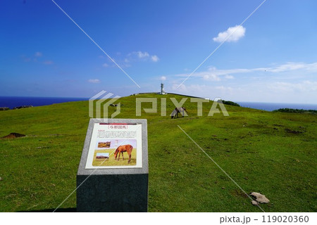 与那国島 与那国島 119020360